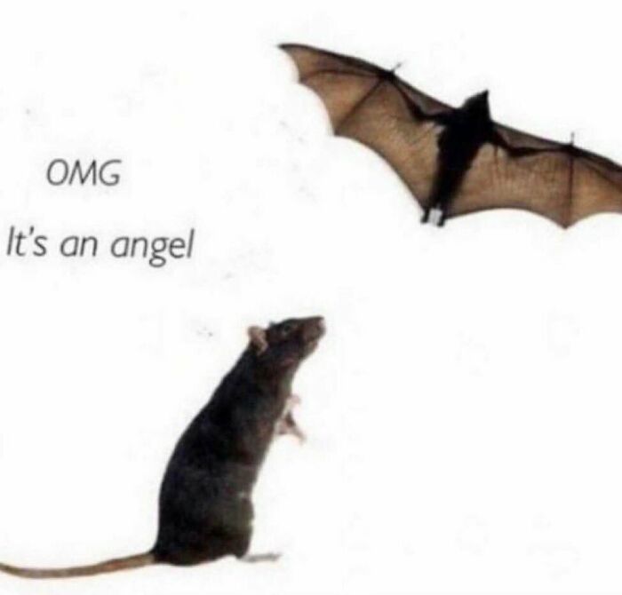 “I Would Prefer Not To”: 45 Pics That Might Confuse You Or Make You Laugh