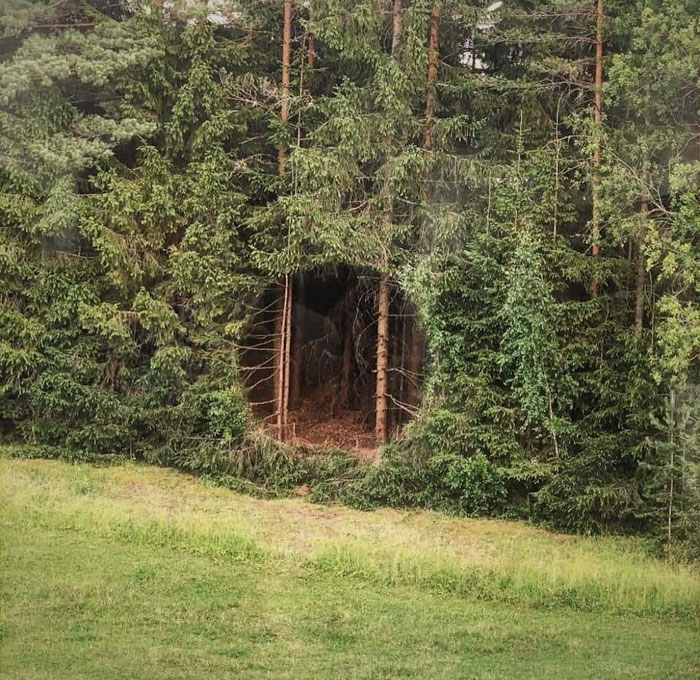 “No Context Required”: 45 Funny Images That Defy Explanation