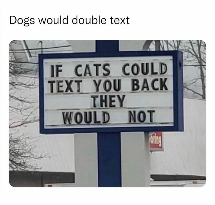 “I Would Prefer Not To”: 45 Pics That Might Confuse You Or Make You Laugh
