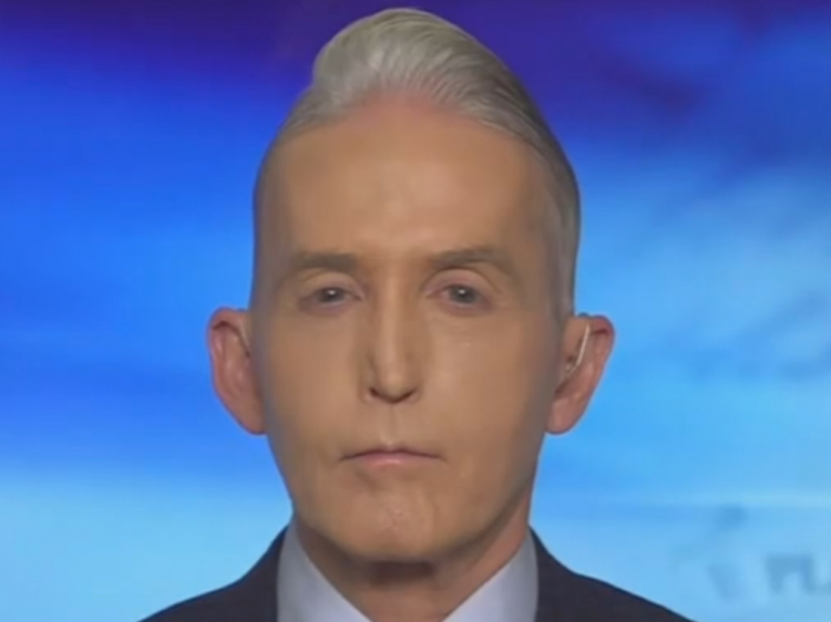 Trey Gowdy: You can mourn the Minneapolis mother's death and still view ...