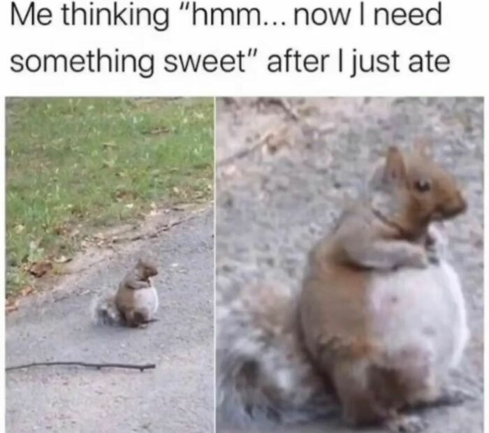 “I Would Prefer Not To”: 45 Pics That Might Confuse You Or Make You Laugh