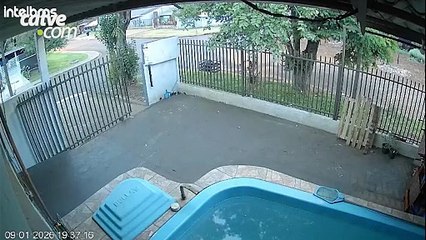 Vídeo mostra forte batida entre motocicleta elétrica e carro em Cascavel
