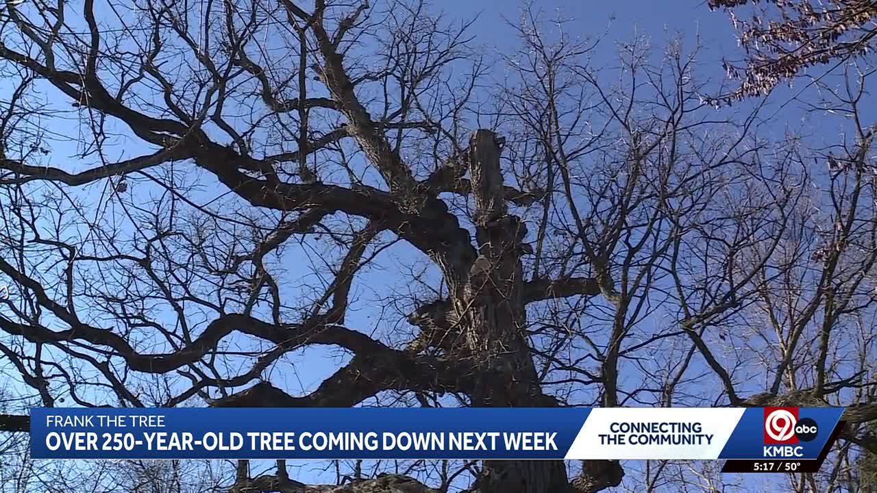 Kansas City community says goodbye to 250-year-old oak tree named Frank