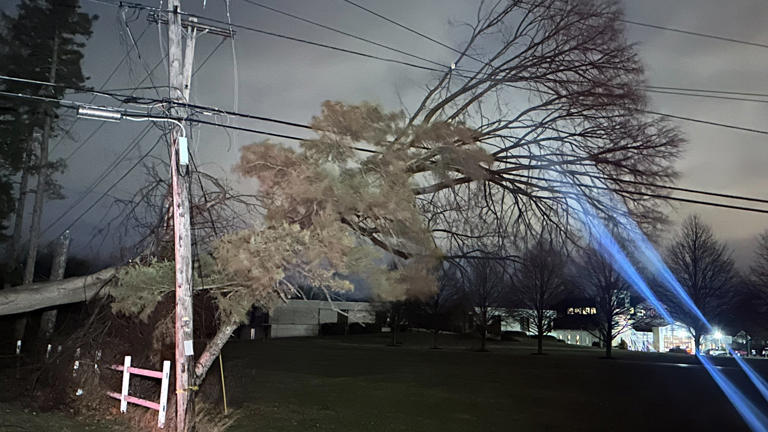 Gallery: High winds knock down trees, power lines around Rochester