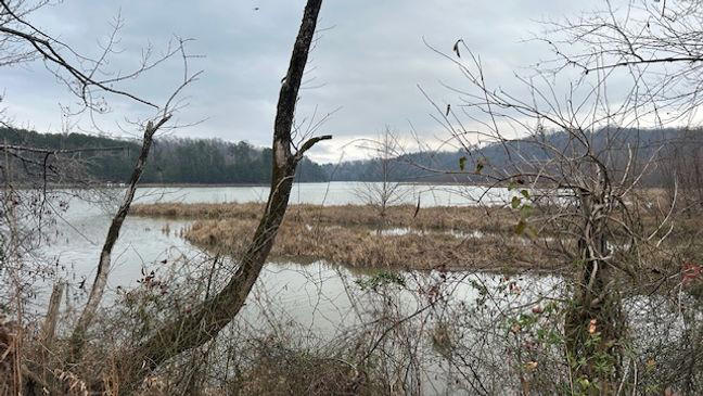 Lake Adger to undergo major sediment removal as part of $140M Helene ...