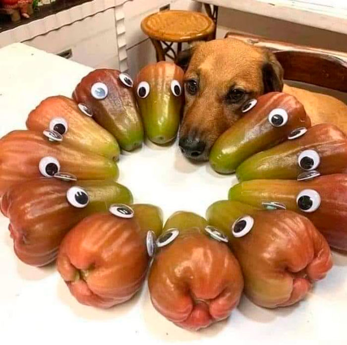 “No Context Required”: 45 Funny Images That Defy Explanation