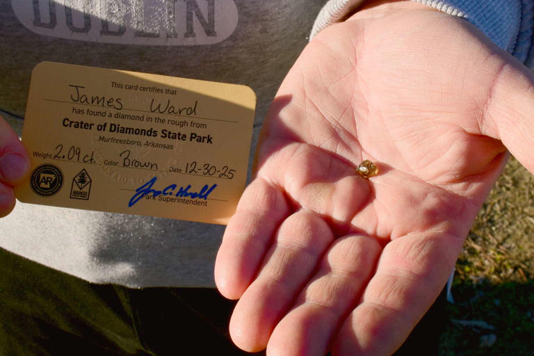 Siri helps Texas man uncover rare diamond at state park