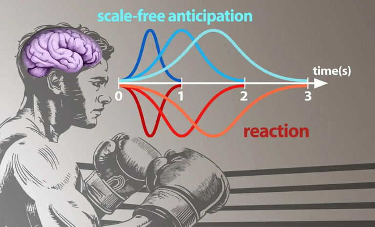 How your brain keeps time: Consistent probability calculations help you ...