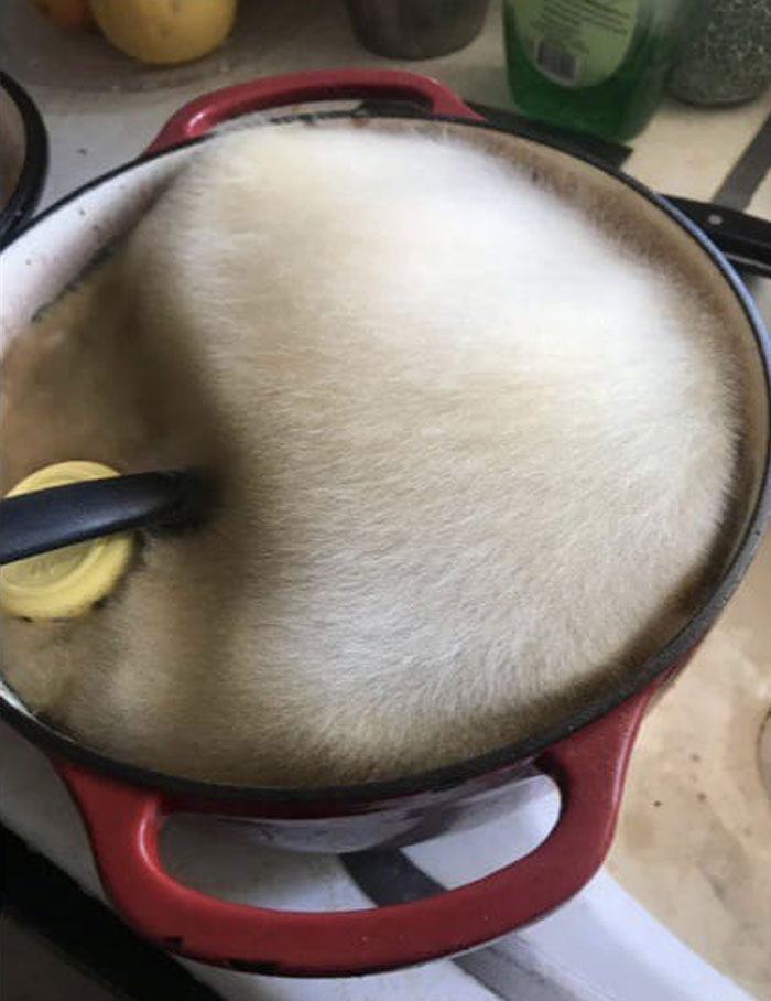“No Context Required”: 45 Funny Images That Defy Explanation