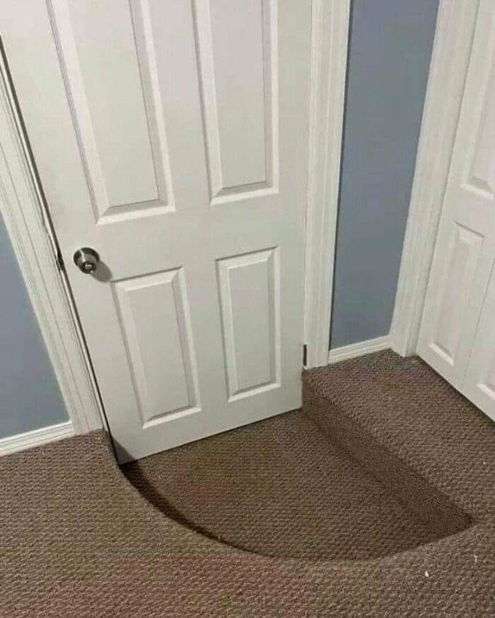 “No Context Required”: 45 Funny Images That Defy Explanation