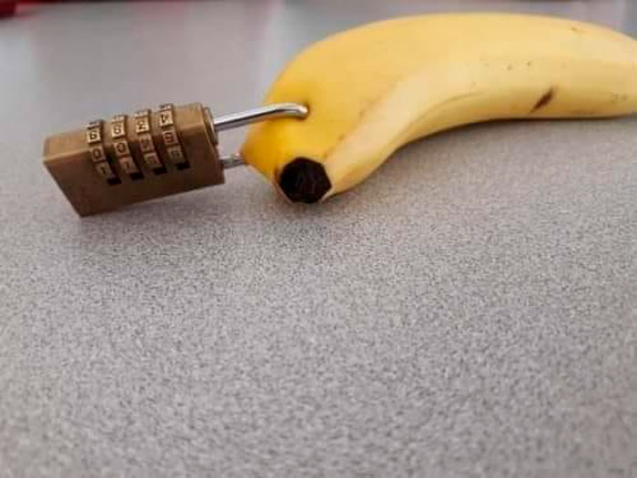 “No Context Required”: 45 Funny Images That Defy Explanation
