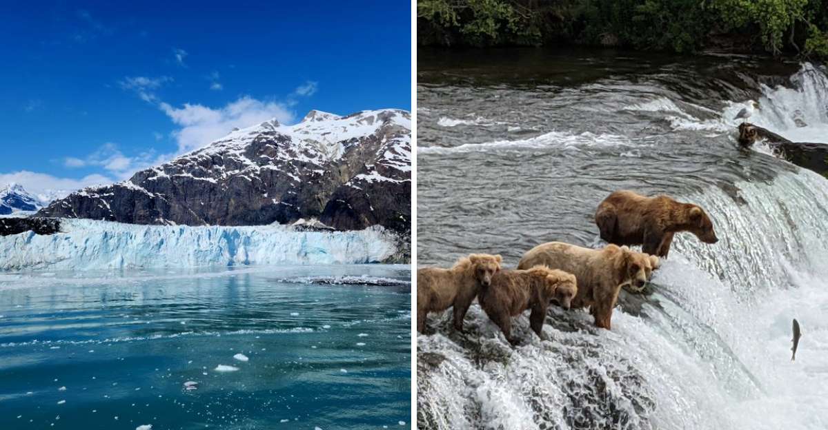Alaska’s breathtaking landscapes and the quiet impact of overcrowding