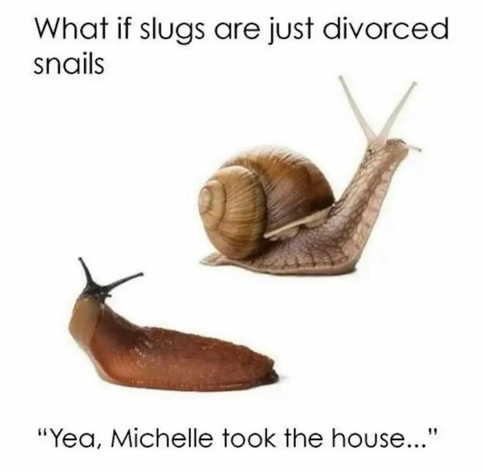 “I Would Prefer Not To”: 45 Pics That Might Confuse You Or Make You Laugh
