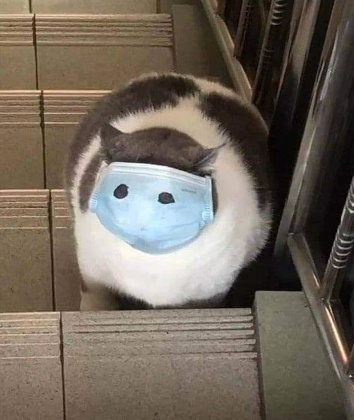“No Context Required”: 45 Funny Images That Defy Explanation