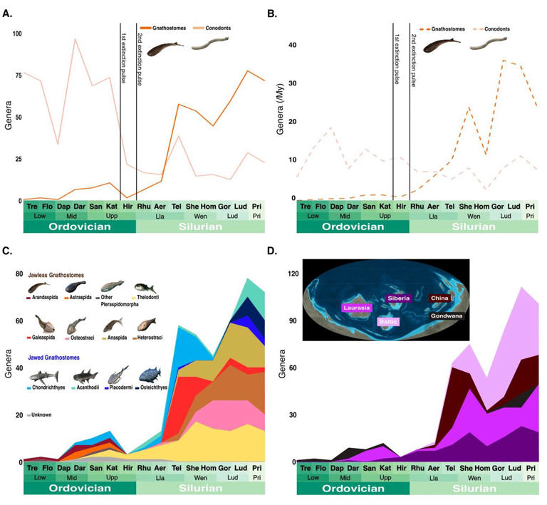 The 'age of fishes' began with mass death, fossil database reveals