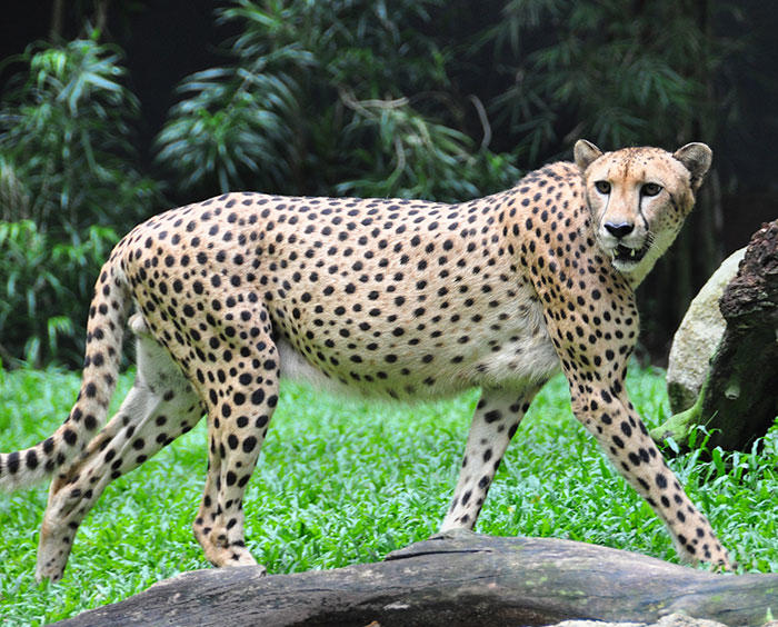 “Counterintuitive”: 28 facts that challenge common knowledge