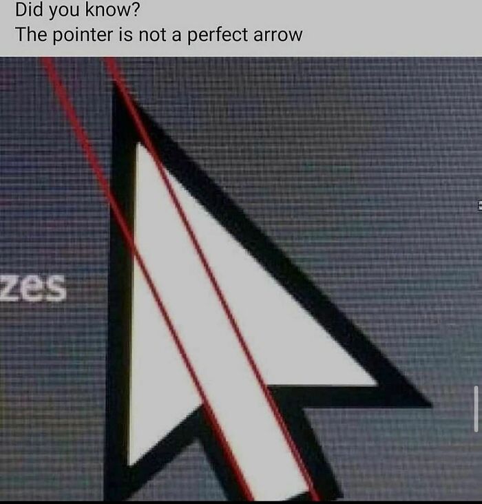 “I Would Prefer Not To”: 45 Pics That Might Confuse You Or Make You Laugh