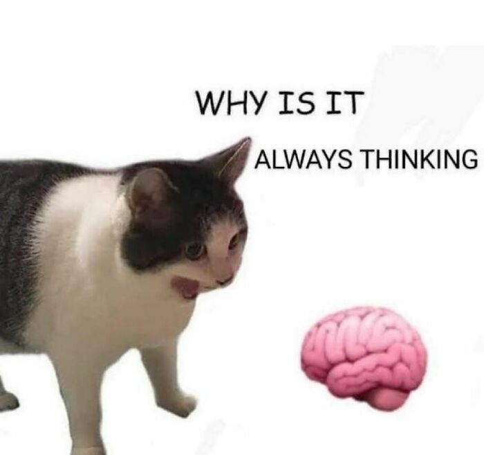 “I Would Prefer Not To”: 45 Pics That Might Confuse You Or Make You Laugh