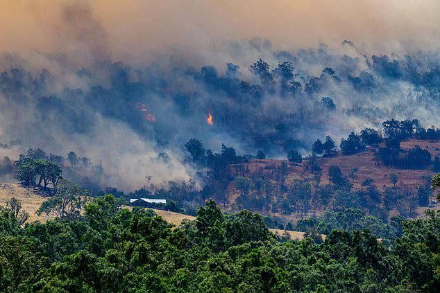Towns 'obliterated' in worsening bushfire crisis - as a man is found dead