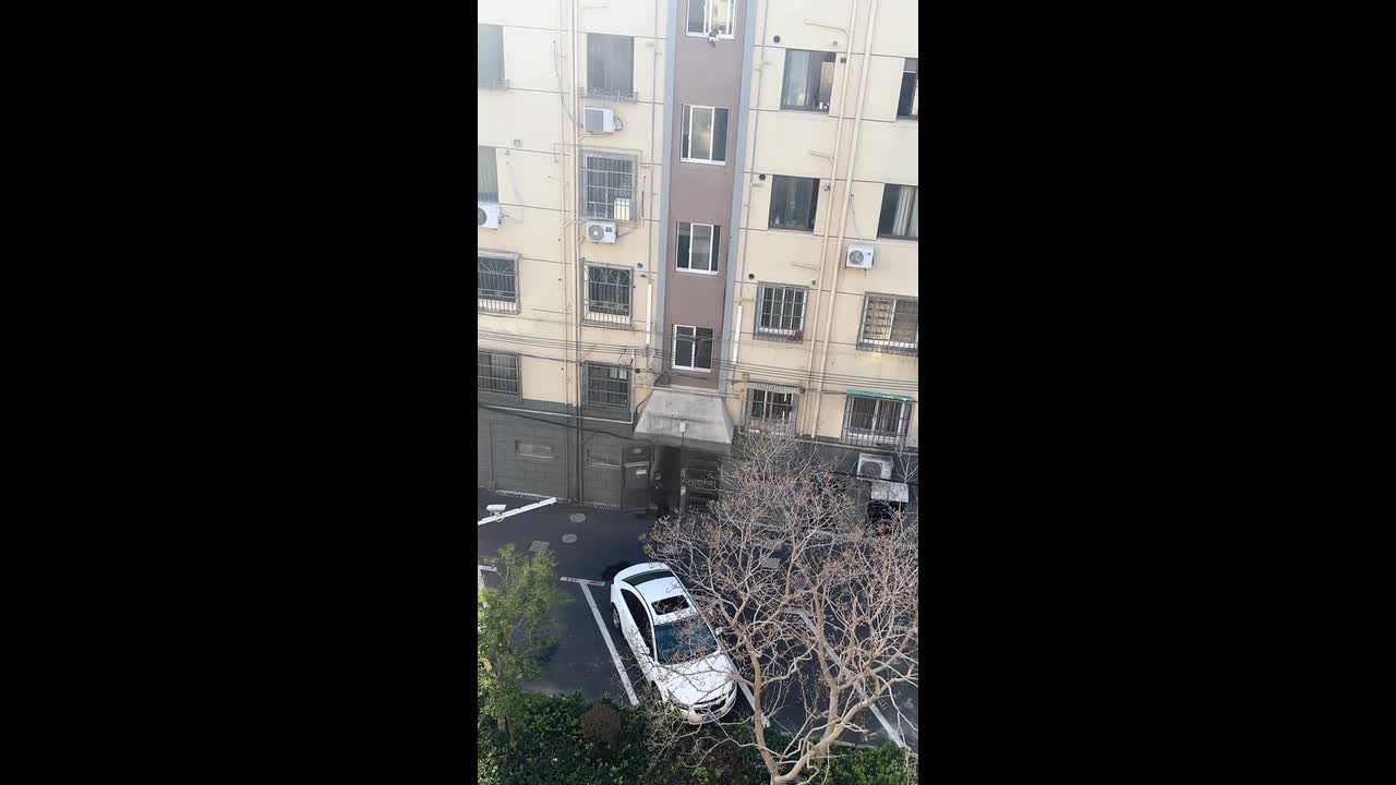 Man rescues cat from high-rise window in Shanghai, China