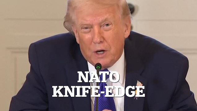 NATO on knife-edge with Trump to 'take Greenland easy or hard way'