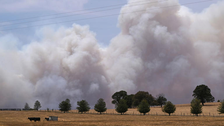 'State of disaster' declared as Australia battles bushfires during ...