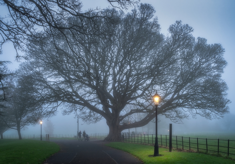 Wind warning issued for 11 counties tomorrow with difficult travelling ...