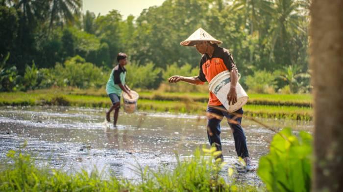 Jajaki kerja sama strategis, Kanada lirik potensi ekonomi berkelanjutan NTB