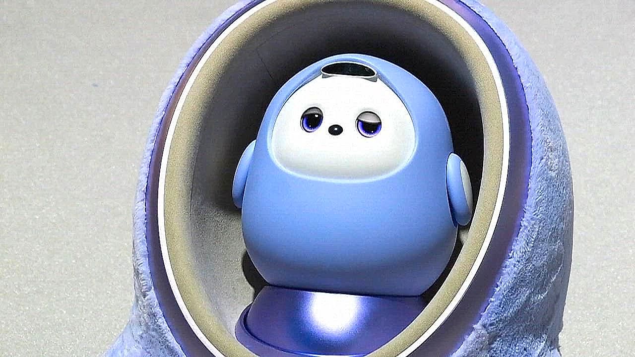 The future is here! These robots mark the next advances in robotics
