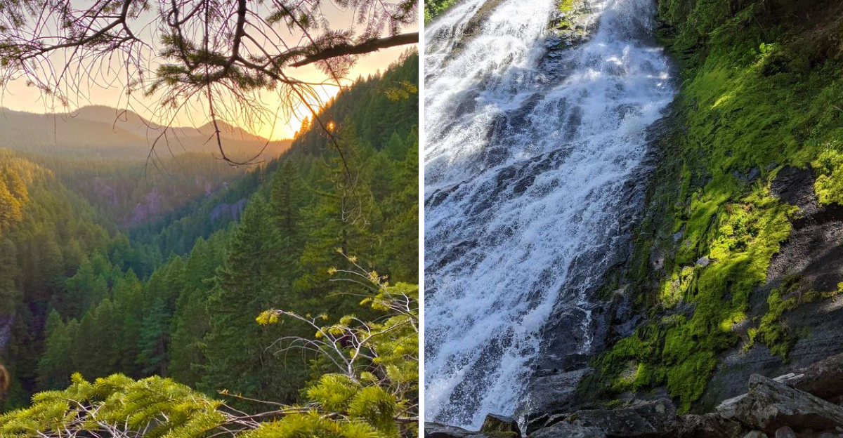 Salt Creek Falls in Oregon offers scenic views and a peaceful natural ...