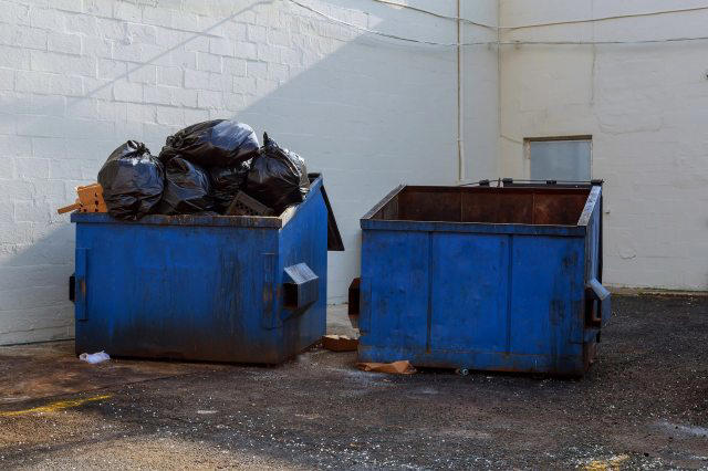Passerby shares photo of stunning discovery in grocery store trash: 'I ...