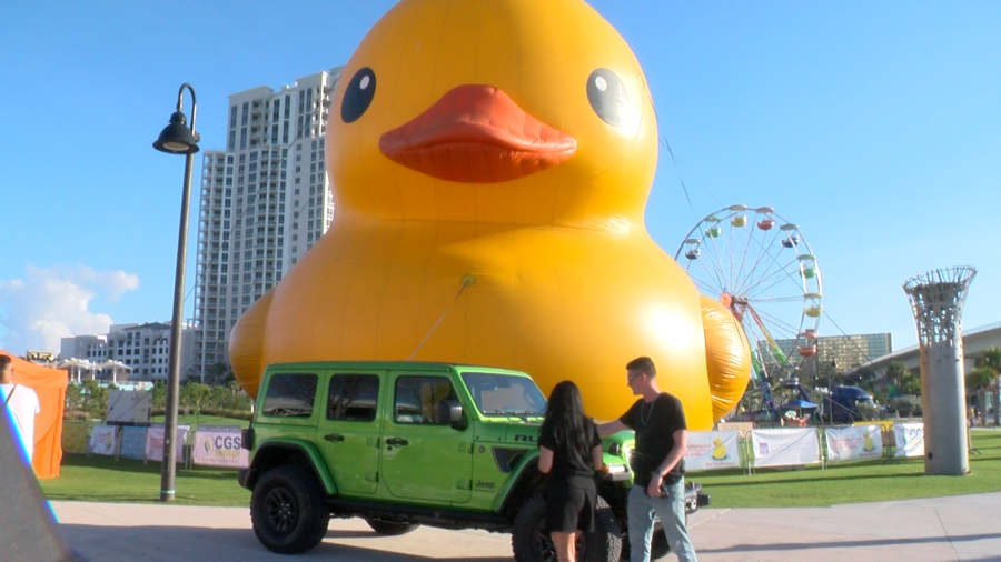 World’s largest rubber duck brings joy in Clearwater: ‘I thought I was ...