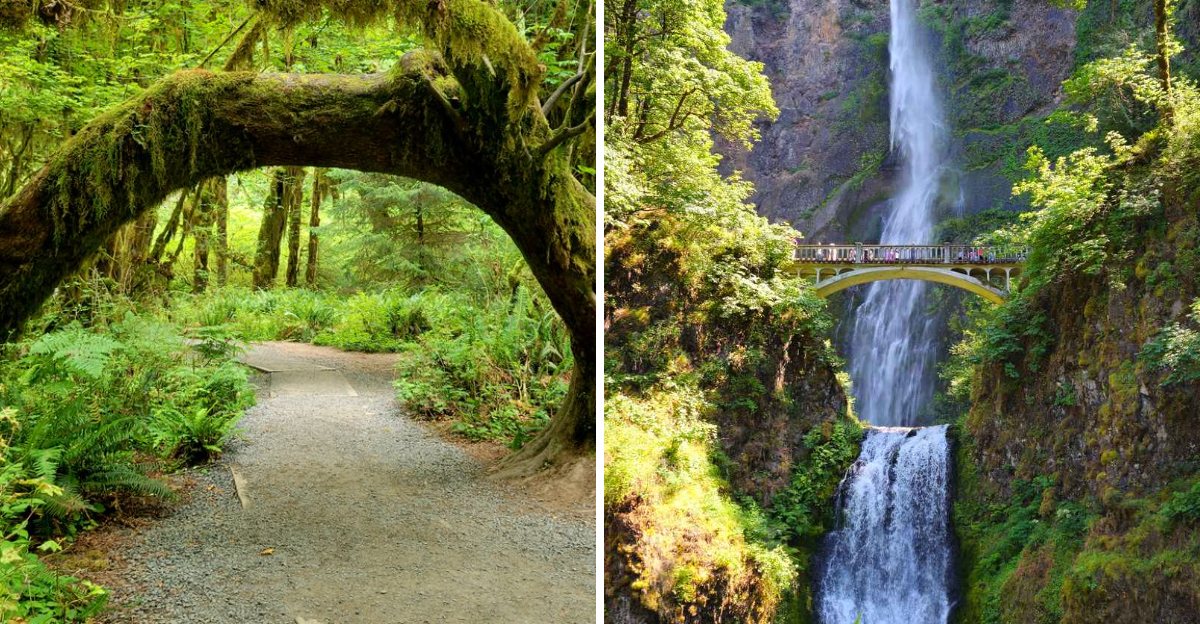 What travelers see in Washington state, from cities to coastal landscapes and popular tourist areas<br><br>