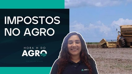Reforma tributária no agro: o que muda para o produtor com IBS e CBS ...