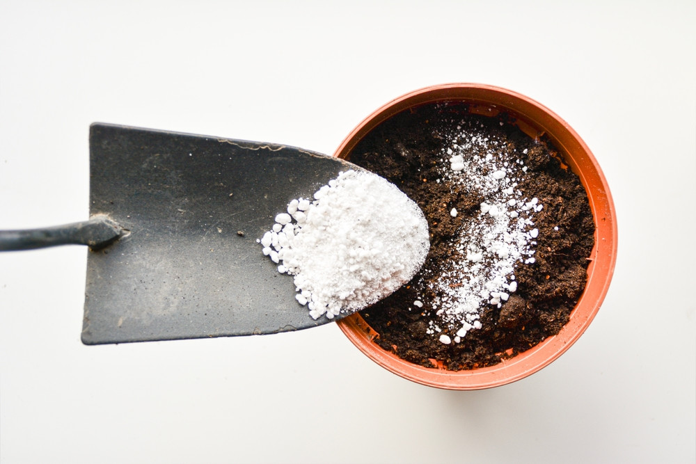 Perlite : Quels sont les avantages et les inconvénients de la perlite