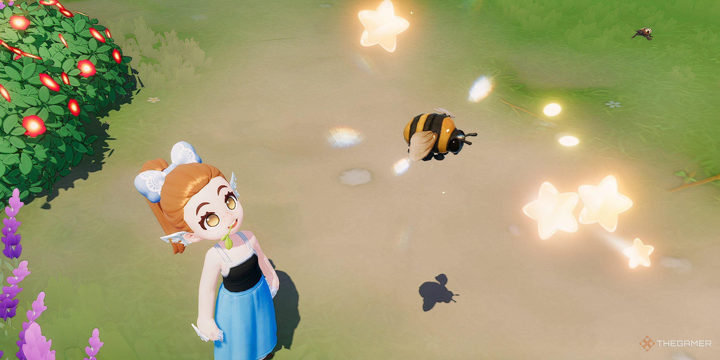 All insects and where to find them in Heartopia