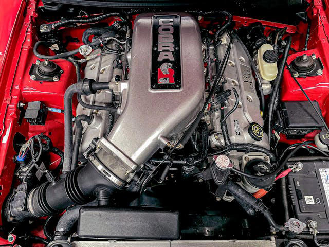 Rare and unfiltered, this $105K Cobra R is the ultimate SN95 Mustang