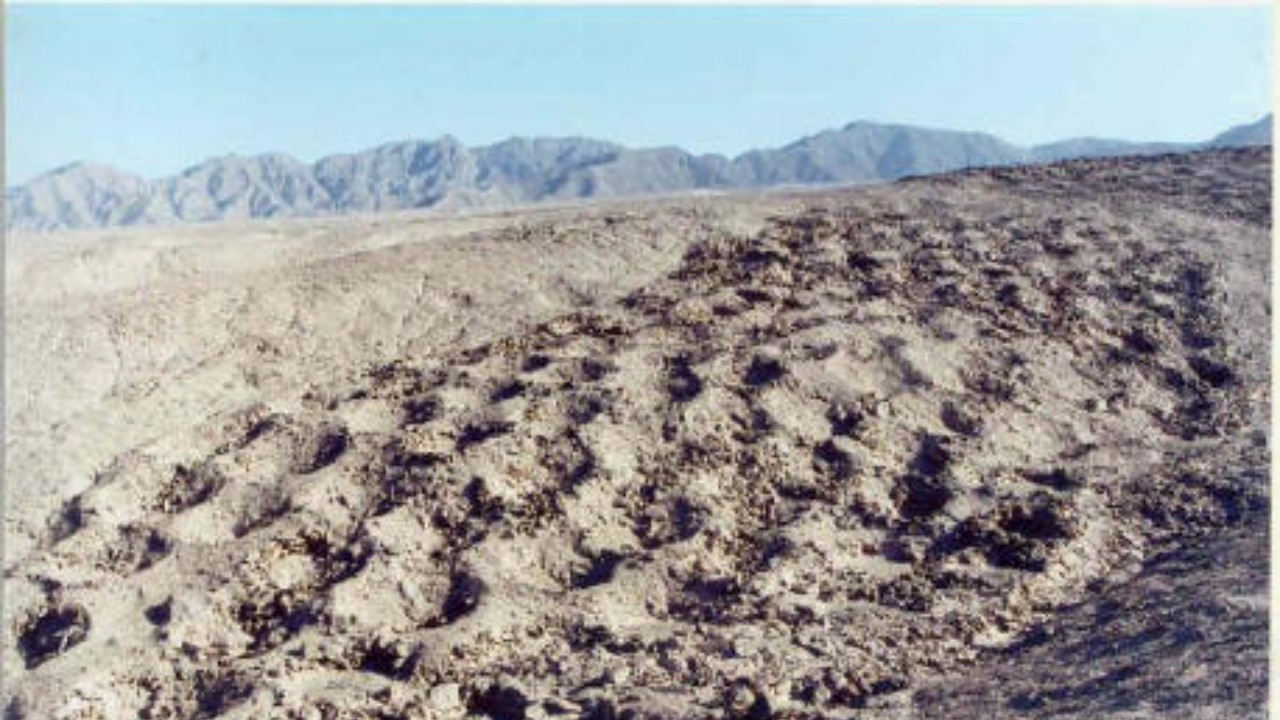 5,200 mystery holes in Peru finally have an answer, archaeologists say