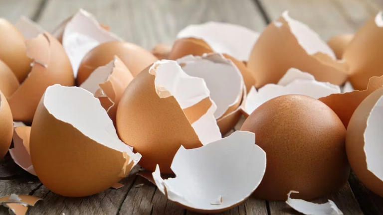 Pelador De Huevos Cocidos De Acero Inoxidable - Abre Cáscaras Fácilmente, Portátil, Para Cocina Y Desayuno