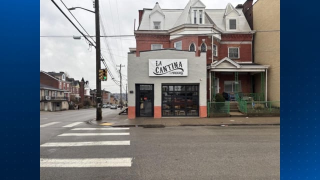 Mexican restaurant ordered closed after 'too many to count' mouse ...