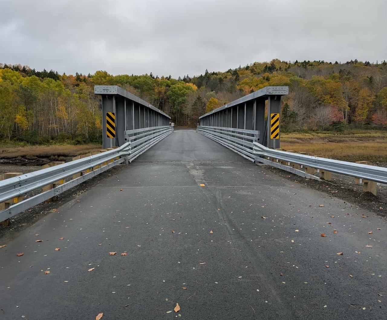 Digby County residents celebrate grand opening of replacement bridge