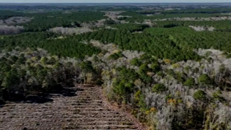 Landowners sue Colleton County over data center ordinance