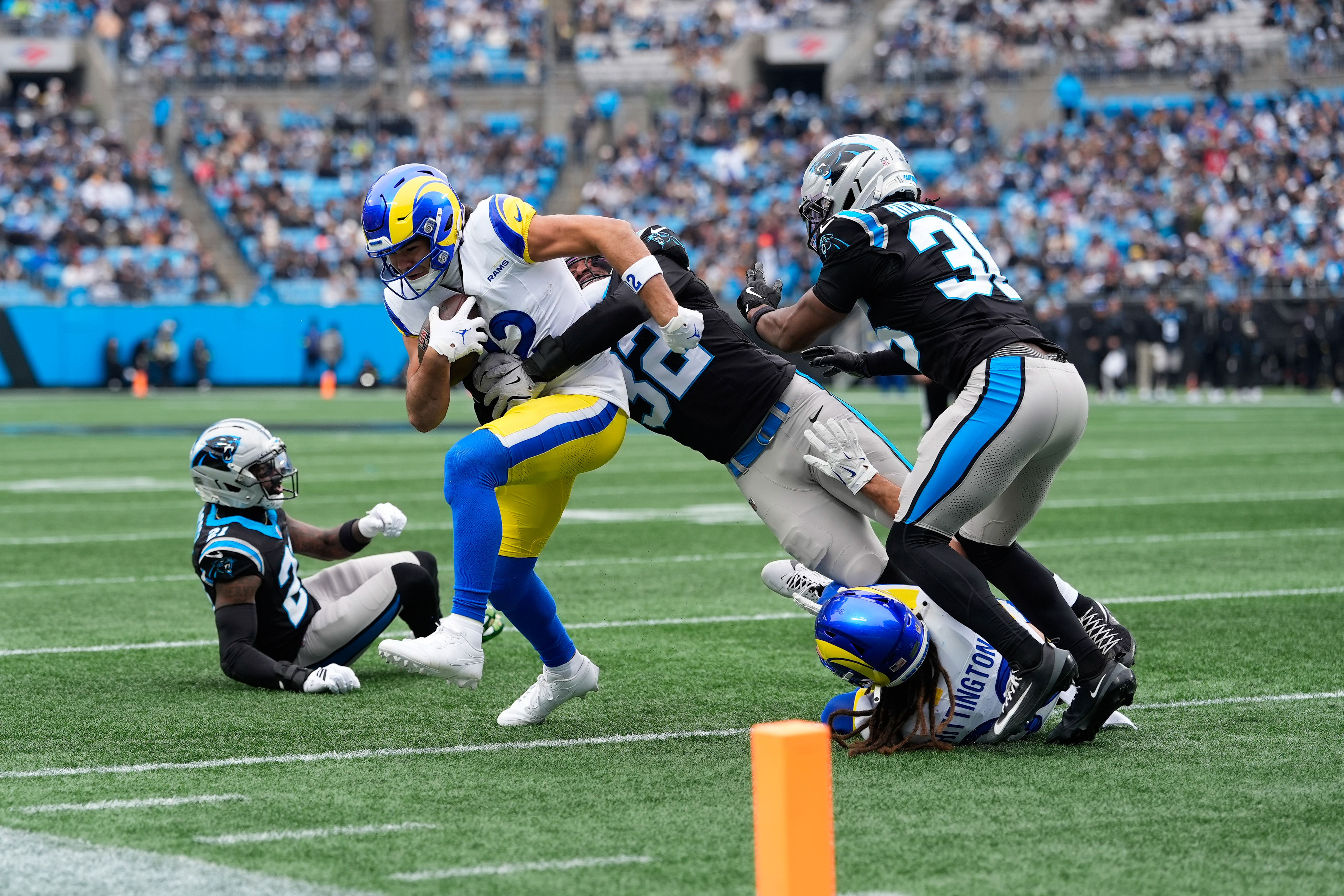 Panthers vs. Rams: Wild card open thread