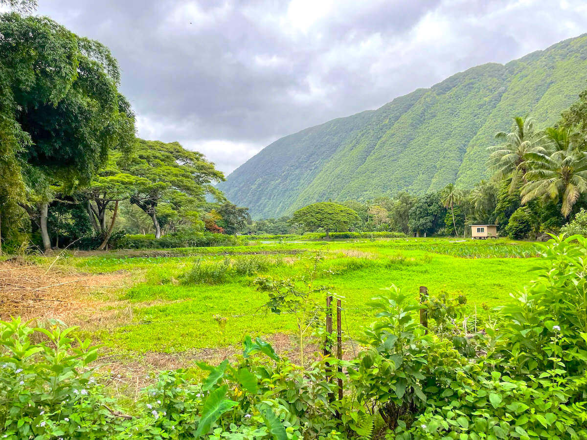 The only way to see Waipio Valley in 2026