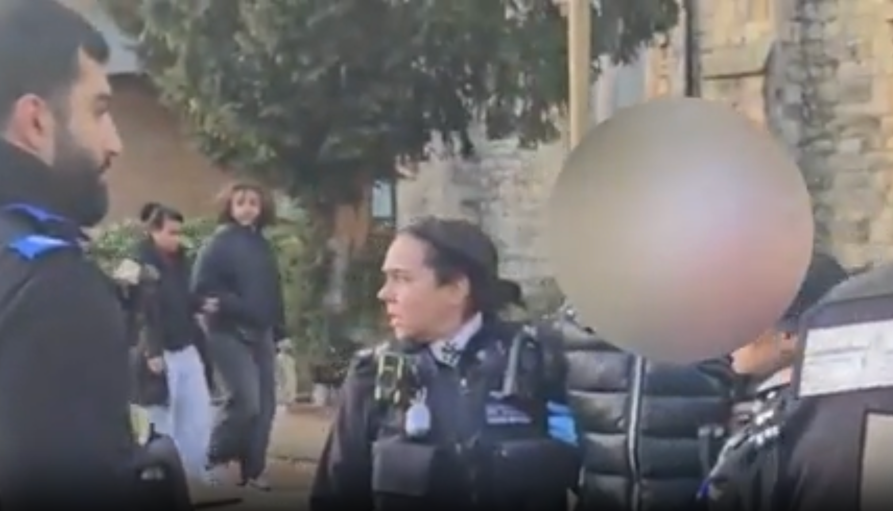 Video posted on social media shows the woman being detained by a group of at least six police officers and council enforcement workers in Harrow, London (For Feeding Birds/YouTube)