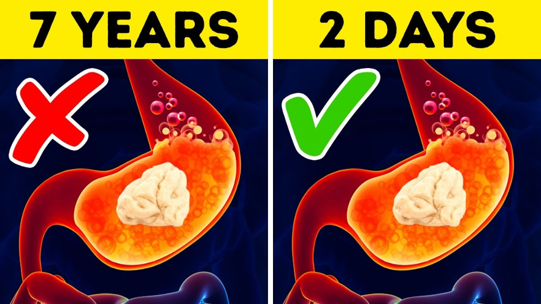 1. What happens when we swallow gum?
