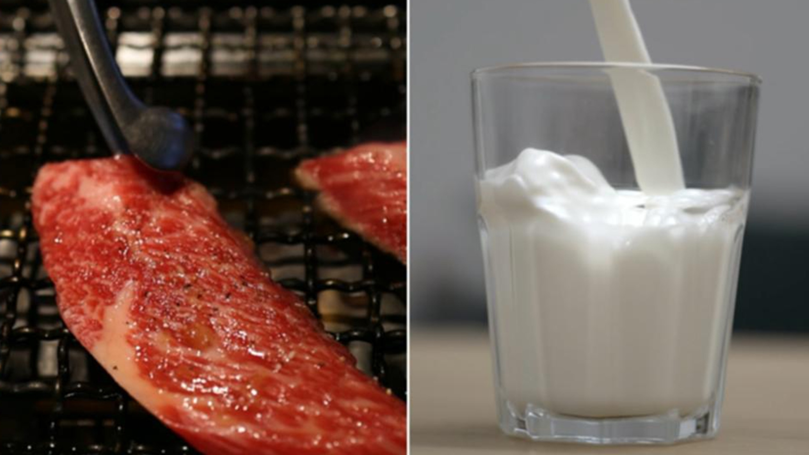 New dietary guidelines: More protein, less sugar