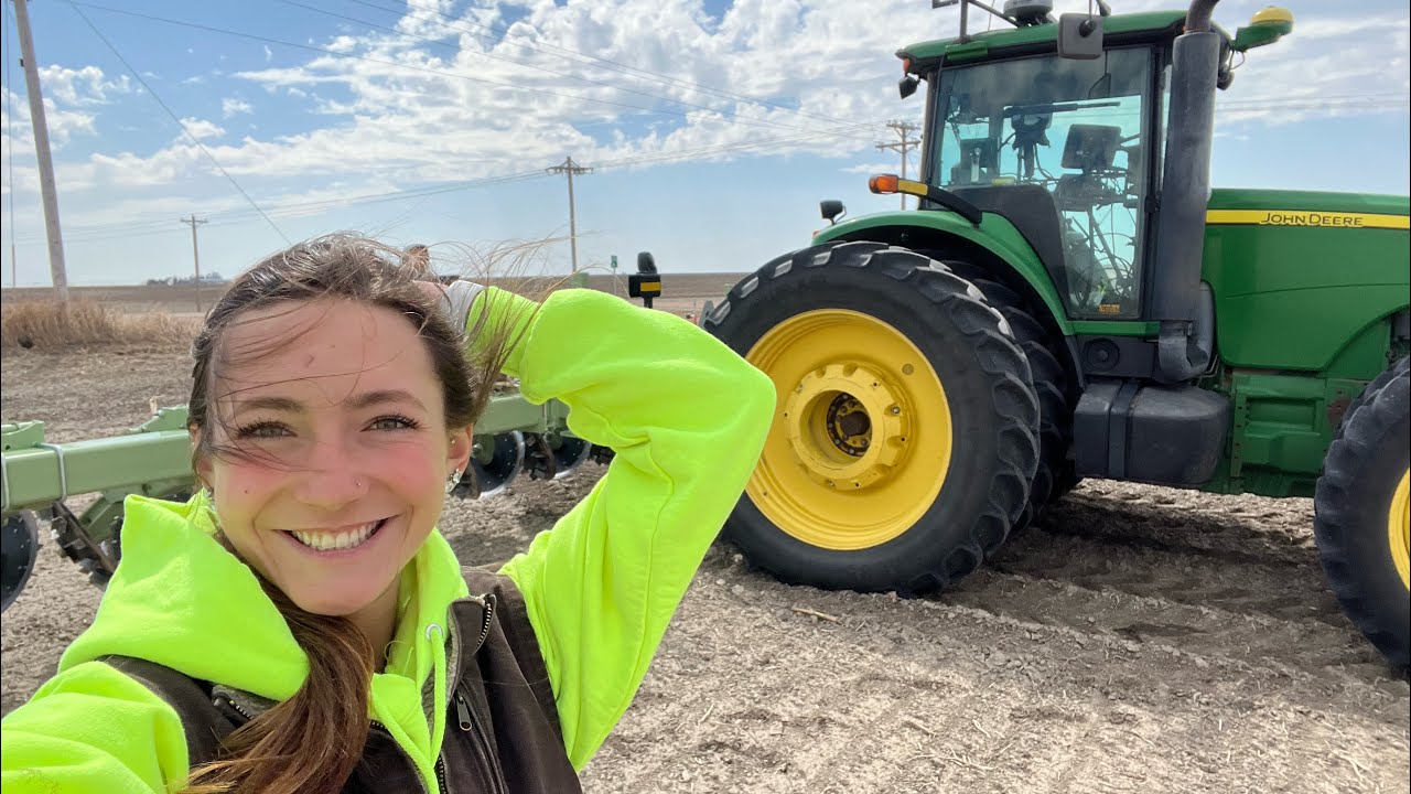 Unearthing Hidden Treasures рџњ рџљњ