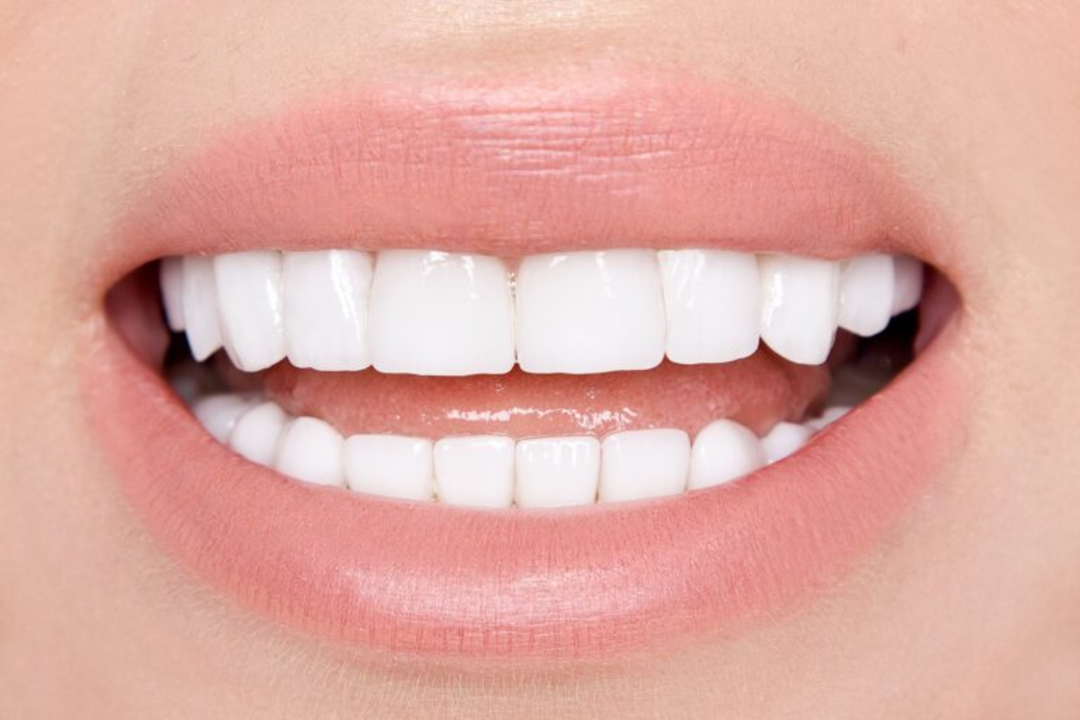 12. Can humans regrow lost teeth naturally?