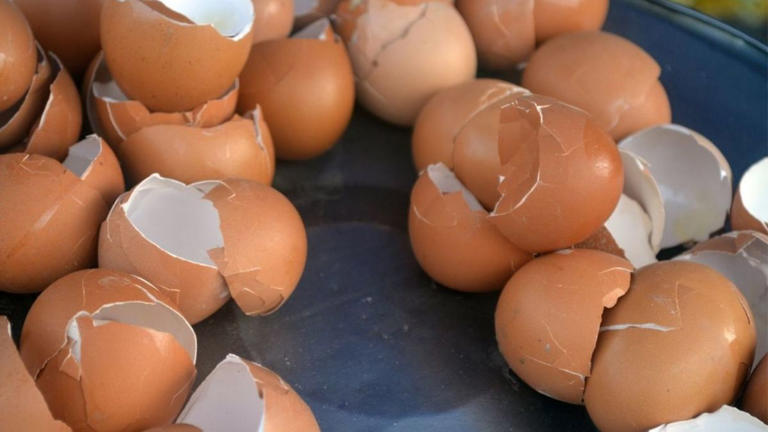 Pelador De Huevos Cocidos De Acero Inoxidable - Abre Cáscaras Fácilmente, Portátil, Para Cocina Y Desayuno